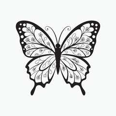 butterfly drawing art vector design