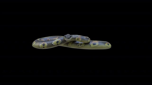 Python Snake idle 3D Video Animation