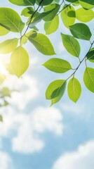 Fototapeta premium Bright green leaves basking in sunlight under a clear blue sky during a warm afternoon
