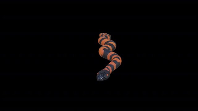 Dangerous Snake 3D Video Animation