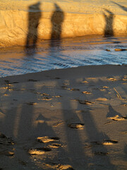 Sandy beach and walkers in the distance with back light in Balmedie - Aberdeenshire - Scotland - UK