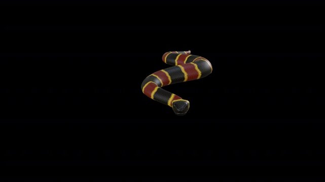 Dangerous Snake 3D Video Animation