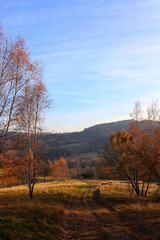 autumn trees in the Owl Mountains