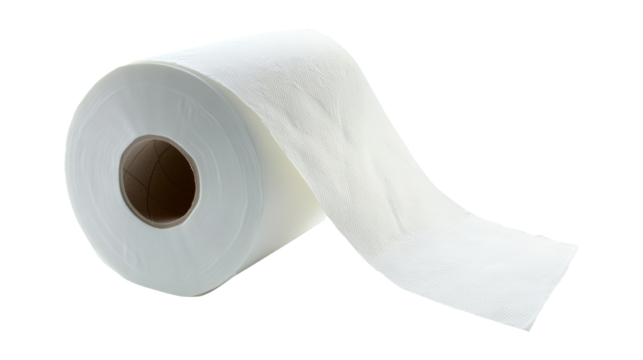 Single roll of toilet paper 
