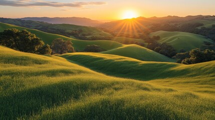 Fototapeta premium Sunset over rolling green hills and valleys.