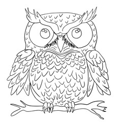 Vector illustration of an owl, coloring images