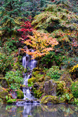 Autumn Waterfall