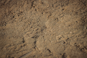 a close-up view of sand, showcasing fine grains with a variety of textures. The surface appears slightly uneven, with subtle ripples and depressions that suggest the effects of wind or movement