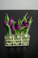 Violet tulips in glass bottle vase on a black table