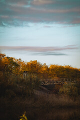 a serene landscape featuring a rustic bridge that arches gracefully over a body of water. Surrounding the bridge are trees flaunting autumn foliage