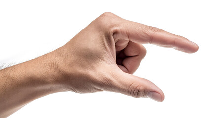 hand showing holding  something isolated 