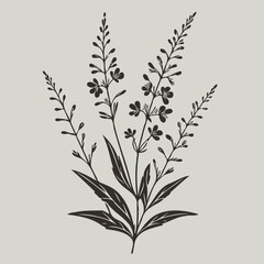 Fototapeta premium Hand drawn lavender branch. Vector illustration in doodle style. flowers isolated on white, branch of lavender, flowers vector illustration of exotic flower, black and white flower