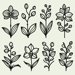Adobe Illustrator Artwork
set of contour flowers orchid, 
line art floral, leaves. 
black and white illustration Phalaenopsis
set of Hand Drawn Doodle plants stylized Cymbidium, Paphiopedilum