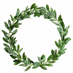 Circular green leaf crown forming empty space on white background