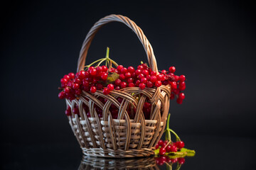 red ripe viburnum in a basket, isolated on black background