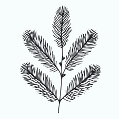 Seamless pattern xmas, blue spruce tree branches, christmas season. Hand drawn illustration Coniferous tree branch with berries and leaves.