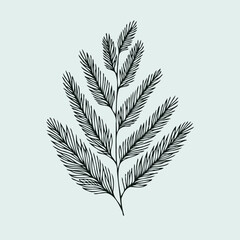 Seamless pattern xmas, blue spruce tree branches, christmas season. Hand drawn illustration Coniferous tree branch with berries and leaves.