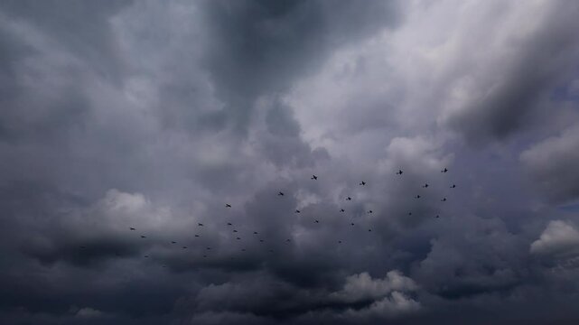 Bomber Airplanes 3D Video Animation