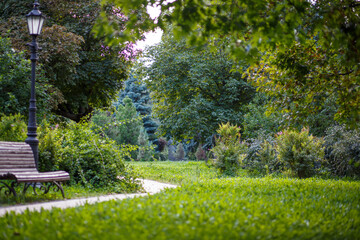 A beautiful and serene pathway within the park, adorned with lush greenery and a charming lamp post