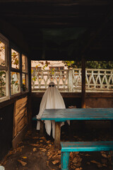 A ghostly figure draped in a white sheet sits inside, wearing sunglasses. A curious black cat peers...