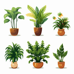 Obraz premium Variety of Isolated Plant in Pot Illustrations