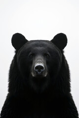 Fototapeta premium Silhouette of a bear symbolizing Bear Day in Bulgaria against a white background