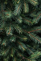 Detailed Pine Branches in Photorealistic Style – Perfect for Seasonal Decor, Organic Branding, and Outdoor Concepts.