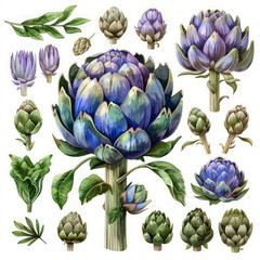 Watercolor Clipart Set of Artichokes and Leaves – Pastel Tones for Botanical Illustrations and Eco-Friendly Designs