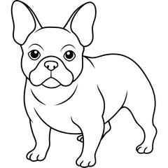 Fototapeta premium bulldog outline, coloring page, silhouette vector 