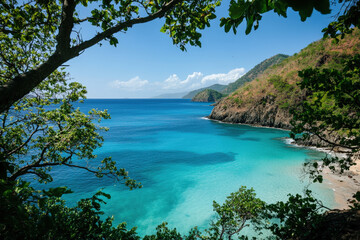 Secluded Turquoise Cove with Lush Surroundings