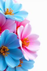 Vibrant bouquet of blue and pink flowers, captured in a close-up shot against a clean white background. The delicate petals and bright colors create a cheerful and uplifting image. Generative AI.
