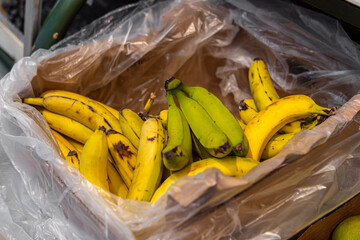 Bananas in box in the store. Fruit sales. Green unripe bananas