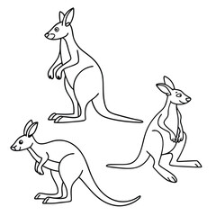 kangaroo mother and baby in pocket wildlife one line art design vector Artwork