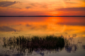 A serene sunset casts vibrant hues of orange and red across a still body of water, creating a beautiful reflection. Patches of reeds in the foreground add a natural element to the tranquil scene.
