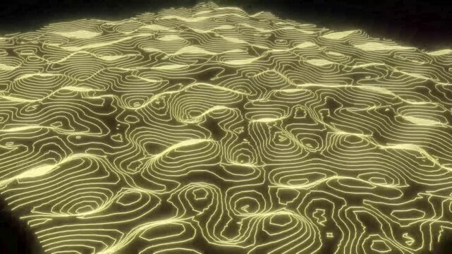 terrain map topology neon curve lines able to loop