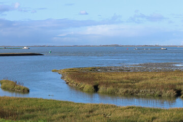 a beautiful salt marsh with a channel and grasses in the westerschelde sea at the dutch coast in...