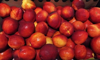 Nectarines peaches whole on supermarket. vibrant close-up of freshly harvested nectarines, showcasing their rich red and yellow hues.