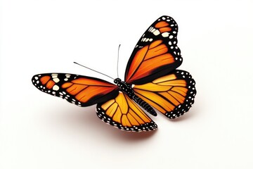Fototapeta premium A monarch butterfly sitting on a white surface