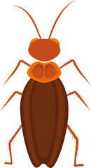 Cockroach illustration. Cockroach life cycle.