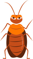 Cockroach illustration. Cockroach life cycle.