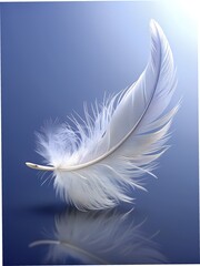 Obraz premium a white airy feather on a monochrome background 