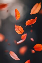 Orange leaves floating in mid-air, a burst of autumn color