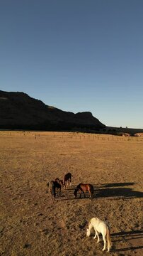 vertical drone video of Mexican wild horses in Durango dessert sundown light, surrounded by mountains at John Wayne ranch