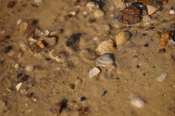 a serene riverbank scene, showing smooth pebbles and soft earth alongside shimmering water, with gentle sunlight casting a warm glow over the natural landscape.