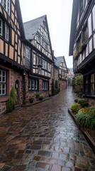 Fototapeta premium Early morning fog blankets a charming small town in the Black Forest, highlighting half-timbered houses and tranquil atmosphere