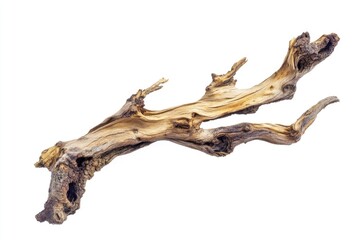 Close-up shot of wooden texture on a white background, great for design and photography projects