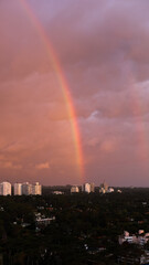 rainbow over the city