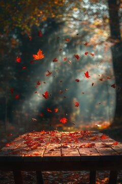 Colorful Fall woods with foliage trees. Seasonal theme for greeting card background.