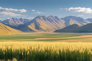 Obraz premium Kowhai valley grassland