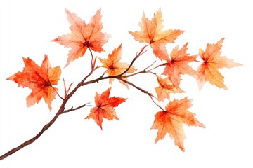 Fototapeta premium A delicate watercolor painting of a branch with leaves
